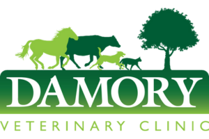 Damory Veterinary Clinic